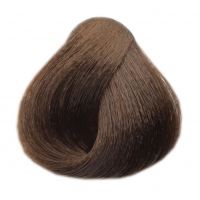 BLACK Sintesis Color Cream- barva na vlasy 6.0 (100ml)